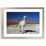 Textured abstract art print of a Bolivian landscape in muted earth tones, framed in silver, ideal for bedroom decor.