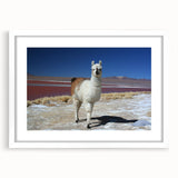 Abstract art print of Bolivian landscape in muted earth tones on a framed white mat, ideal for dining room decor.