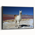 Framed canvas featuring a black and white landscape of Bolivia, ideal for bedroom wall decor.