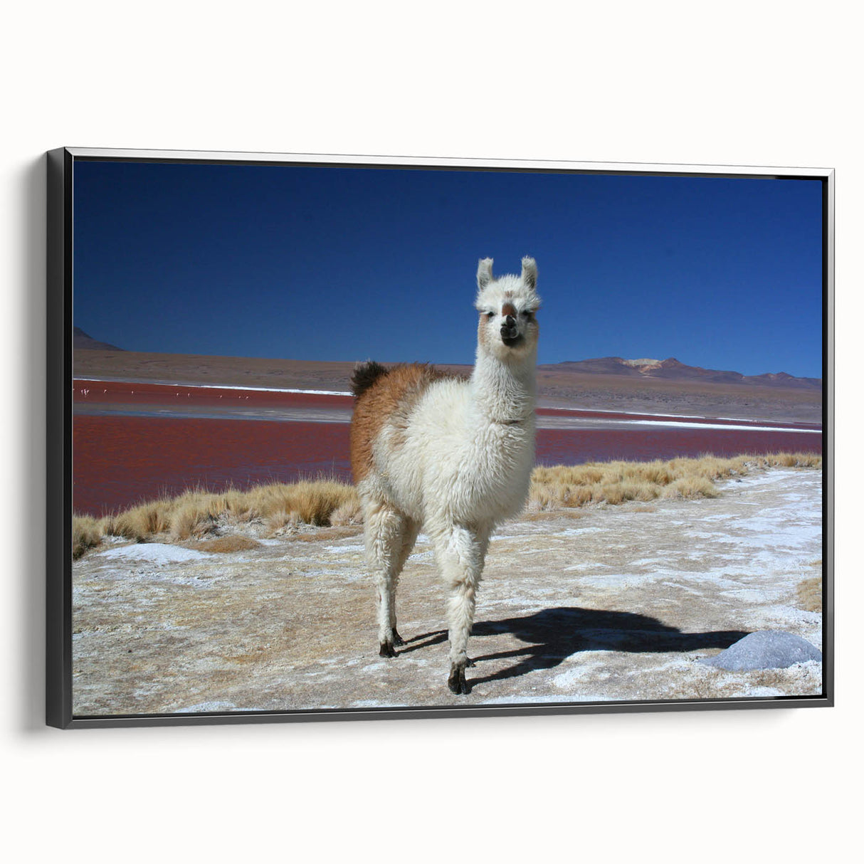 Framed canvas featuring a black and white landscape of Bolivia, ideal for bedroom wall decor.