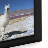 Extra large framed canvas of a textured, colorful Bolivian landscape in black, ideal for living room decor.