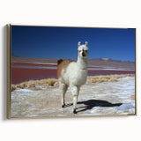 Framed canvas landscape painting of Bolivian scenery in muted earth tones, ideal for bedroom wall art.