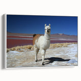 Vintage poster art of a colorful Bolivian landscape on a large framed canvas, ideal for living room decor.