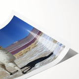 Extra large wall art featuring line art flowers in muted earth tones on a rolled canvas, ideal for large living room decor.