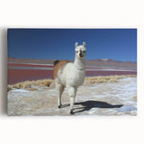Black and white photograph of Bolivian landscape on stretched canvas, suitable as large kitchen wall art.