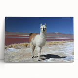 Black and white stretched canvas of a Bolivian landscape, ideal for kitchen wall art or bedroom ambiance.