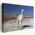Scenic view of a Bolivian landscape on a large stretched canvas, featuring earthy tones, ideal for kitchen wall art.