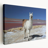 Scenic view of a Bolivian landscape on a large stretched canvas, featuring earthy tones, ideal for kitchen wall art.