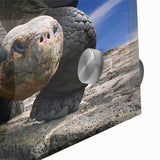 Large abstract wall art depicting the Galapagos scenery in mid-century modernist style on acrylic glass.