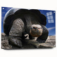 Acrylic print of Galapagos scenery with vivid blue and green tones, suitable for bedroom or dining room decor.