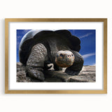 Extra large abstract art print depicting a textured Galapagos scenery in muted earth tones on a gold-framed canvas.