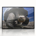Large abstract wall art depicting the Galapagos scenery in acrylic with a black frame, ideal for modern art wall decor.
