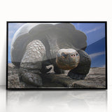 Large abstract wall art depicting the Galapagos scenery in acrylic with a black frame, ideal for modern art wall decor.