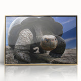 Framed acrylic print of Galapagos scenery with muted earth tones, ideal for modern art wall decor.