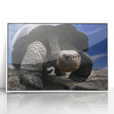Framed acrylic print of a Galapagos scenery in muted earth tones, ideal for nursery wall art.