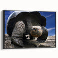 Black and white landscape art of the Galápagos, framed canvas, ideal for bedroom wall decor.