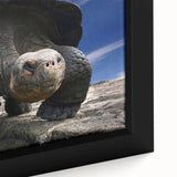 Extra large framed canvas featuring a textured, colorful depiction of the Galapagos scenery, ideal for living room decor.