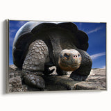 Framed canvas featuring a vintage-style landscape painting of the Galapagos, with vibrant colors and black borders.