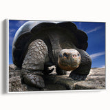 Vintage poster art of Galapagos scenery on a framed canvas, featuring vibrant colors, ideal for living room decor.