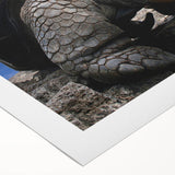 Art deco poster featuring the Galapagos scenery in muted earth tones on rolled canvas, suitable for dining room decor.