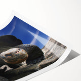 Extra large wall art featuring line art flowers in muted earth tones on a rolled print, ideal for large living room decor.