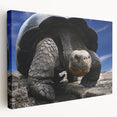 Large canvas print of the Galápagos Islands scenery, featuring rich blue and green tones, ideal for kitchen wall art.