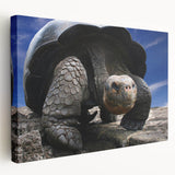 Large canvas print of the Galápagos Islands scenery, featuring rich blue and green tones, ideal for kitchen wall art.