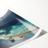 Extra large wall art featuring line art flowers in black on a white background, ideal for large living room decor.