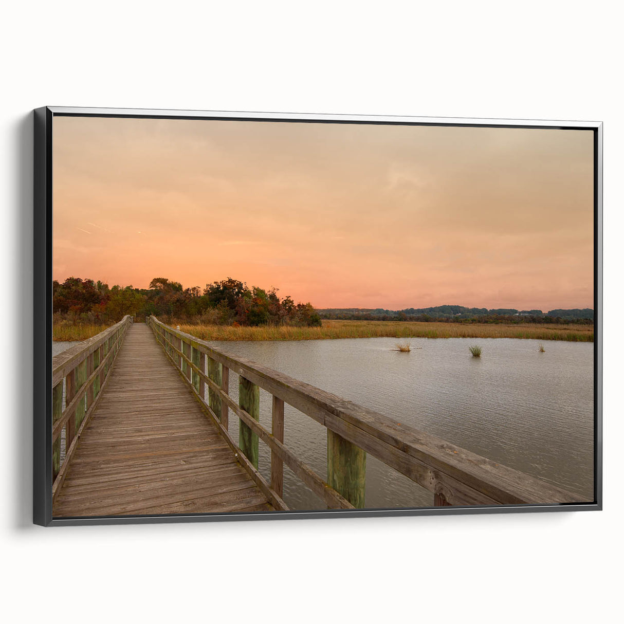 Black and white framed canvas of an Alabama landscape in a vintage poster style, ideal for bedroom wall art.