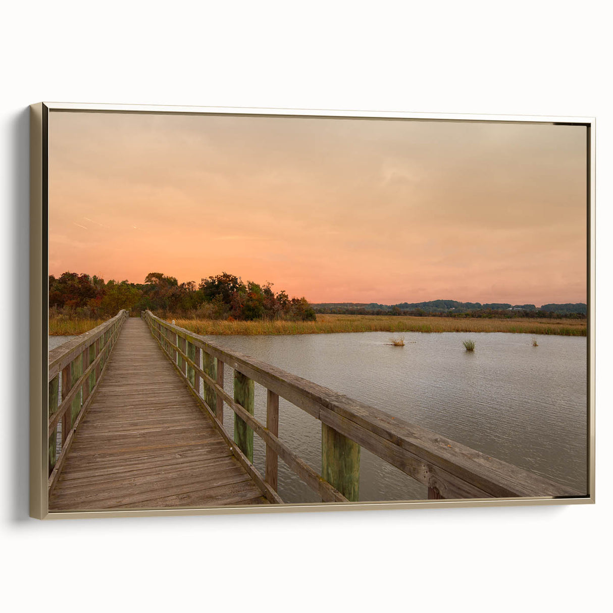 Framed canvas depicting an Alabama landscape in muted gold and black tones, suitable for bedroom wall art.