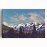 Black and white photograph of Denali, Alaska on stretched canvas, ideal for kitchen wall art.