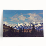 Black and white photograph of Denali, Alaska on stretched canvas, ideal for kitchen wall art.