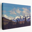 Large canvas print of Denali National Park with subdued earth tones, ideal for kitchen wall art.