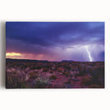 Black and white stretched canvas of the Sonoran Desert, ideal for kitchen wall art.