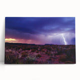 Black and white image of the Sonoran Desert on stretched canvas, ideal for kitchen wall art.