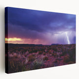 Large canvas art depicting the Sonoran Desert in Arizona, featuring earthy tones, ideal for kitchen wall art.