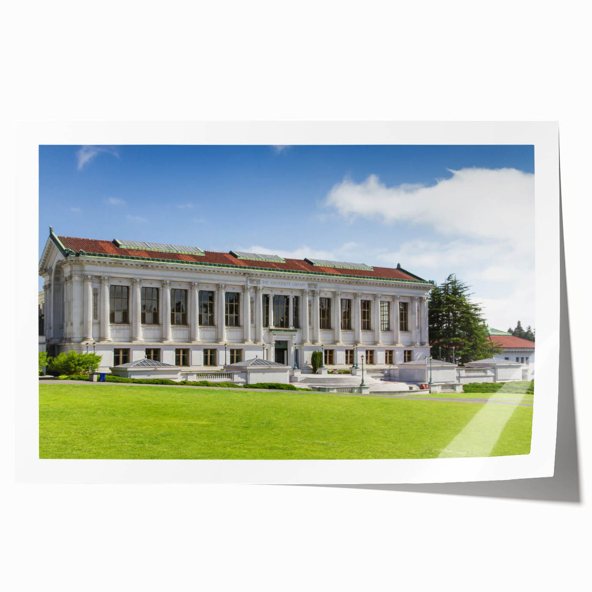 Extra large rolled print of a floral Berkeley, California landscape in muted earth tones, ideal for dining room wall art.