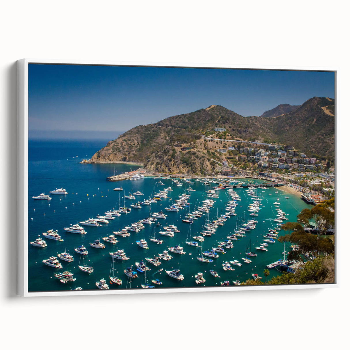 Vintage poster art of Catalina, California on framed canvas, featuring colorful imagery against a black background.