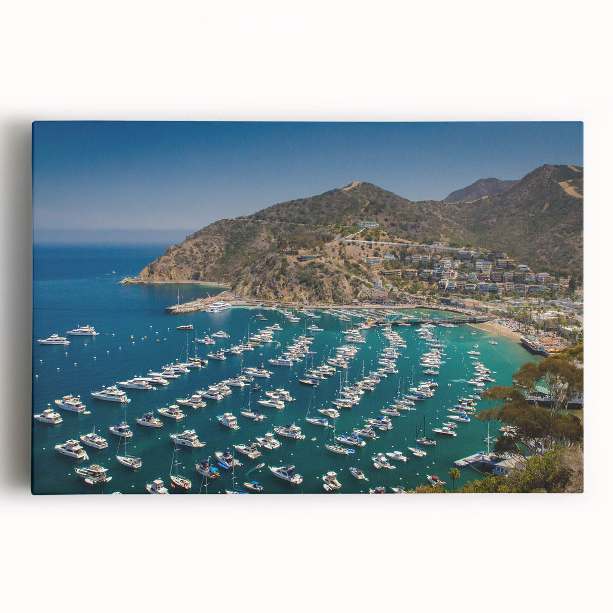 Black and white photographic print of Catalina, California on stretched canvas, ideal for kitchen wall art.