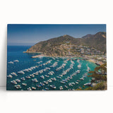 Black and white print of Catalina, California on stretched canvas, ideal for kitchen wall art or bedroom ambiance.