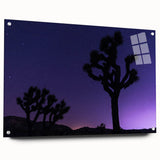 Acrylic print of Joshua Tree, featuring earthy tones and a clear sky, suitable for bedroom or dining room decor.