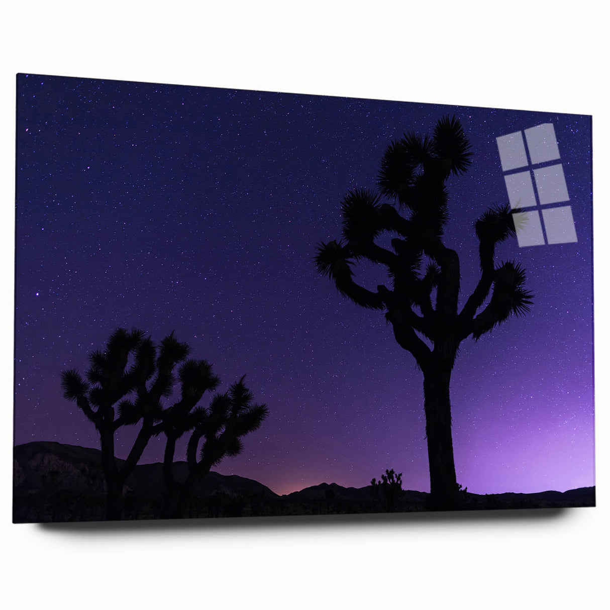 Large abstract wall art of Joshua Tree in earth tones on acrylic glass, ideal for bedroom or dining room decor.