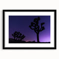 Extra large framed wall art of an abstract Joshua Tree in vibrant, textured colors on canvas, ideal for living room decor.