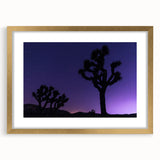 Extra large abstract art print of Joshua Tree, in muted earth tones on a textured canvas, framed in gold.