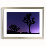 Textured art print of a Joshua Tree in muted earth tones, framed in silver, ideal for bedroom decor.