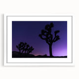 Abstract art print of Joshua Tree in muted earth tones on a white matted frame, ideal for bedroom or dining room decor.