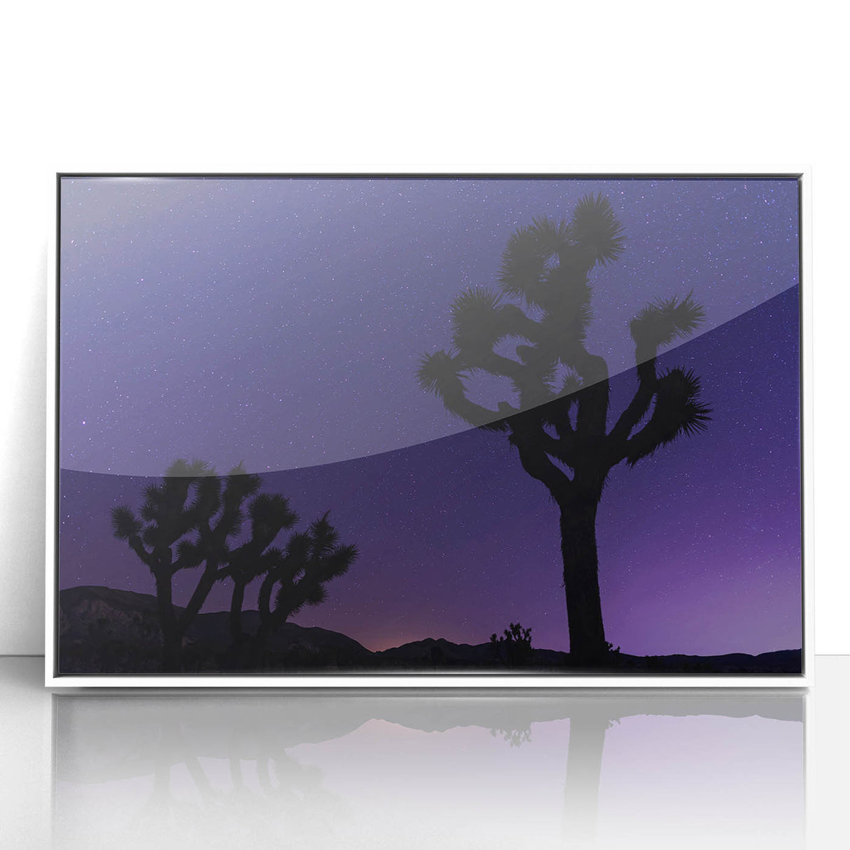 Acrylic print of Joshua Tree, featuring muted earth tones and minimalist style, ideal for modern art wall decor.
