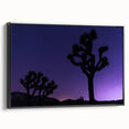 Black and white framed canvas of Joshua Tree landscape, ideal for bedroom wall decor.