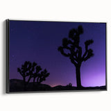 Black and white framed canvas of Joshua Tree landscape, ideal for bedroom wall decor.