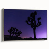 Framed canvas of Joshua Tree landscape with muted earth tones, ideal for a living room or study.